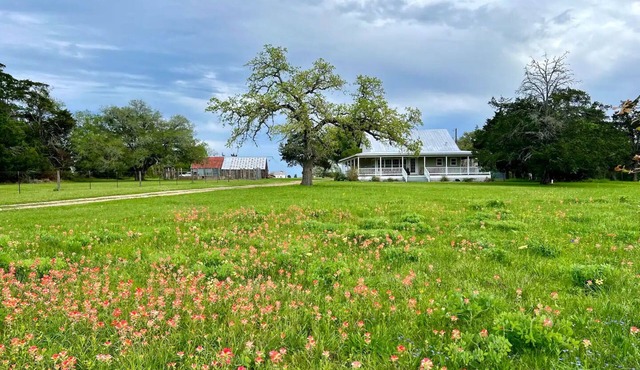 Luxury Round Top Farmhouse /6mil to The Square