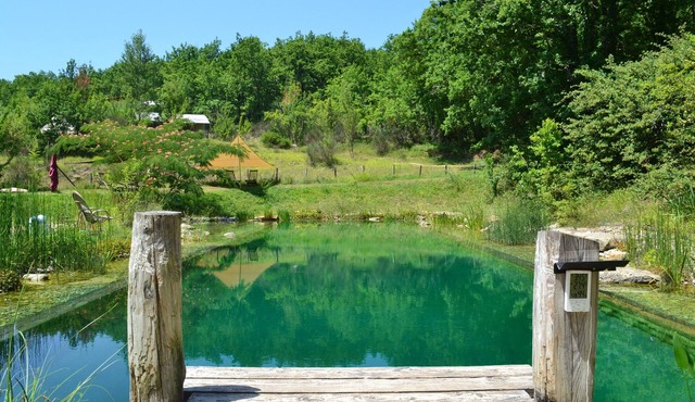Luxury safari hideaway with idyllic natural pool