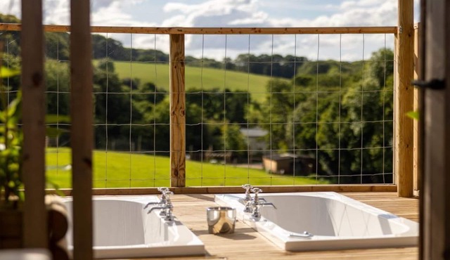 Luxury Safari Lodge-Sleeps 4/6-Deer Park-Dogs Ok