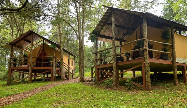 Luxury Safari Style Tents for Getaways in Pennsylvania