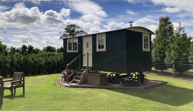Luxury Shepherd's Hut (The Rowan) at Templehall