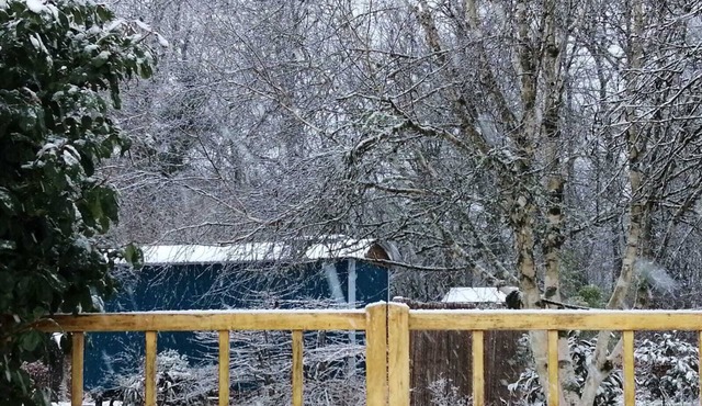 Luxury Shepherds Hut Retreat in Devon near Exeter & Dartmoor. Views into woods.