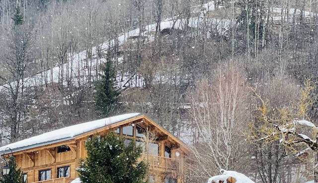 Luxury ski/mountain chalet in The French Alps. Stunning in Winter and Summer!