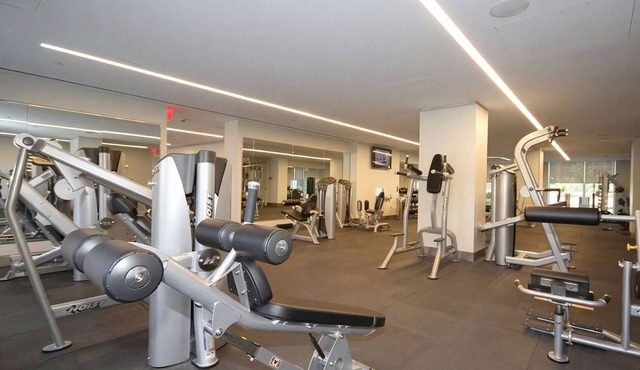 Luxury Skyline Suite w - Rooftop, Gym & Stunning Views