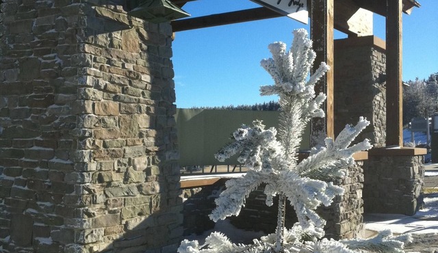 Luxury Snowshoe Penthouse - Best Ski-In~Out 1BR with Stunning Sunrise Mtn 🌅⛰️View