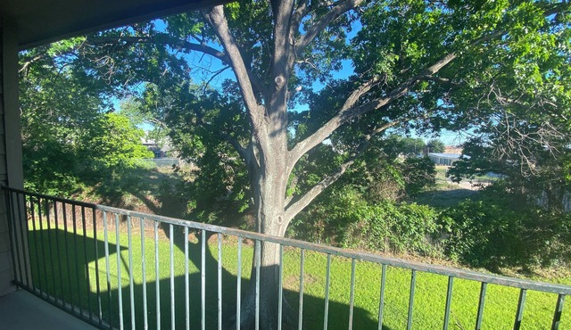 Luxury South-Houston Apt