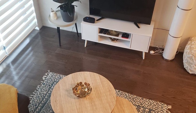 Luxury Spacious Condo Downtown