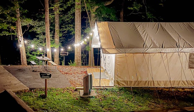 Luxury Spacious Glamping, Lake View, Grill, Pool, Pet Friendly, Swim