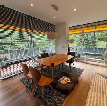 Luxury Studio near UN and Palexpo