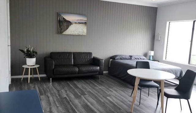 Luxury studio with shared laundry