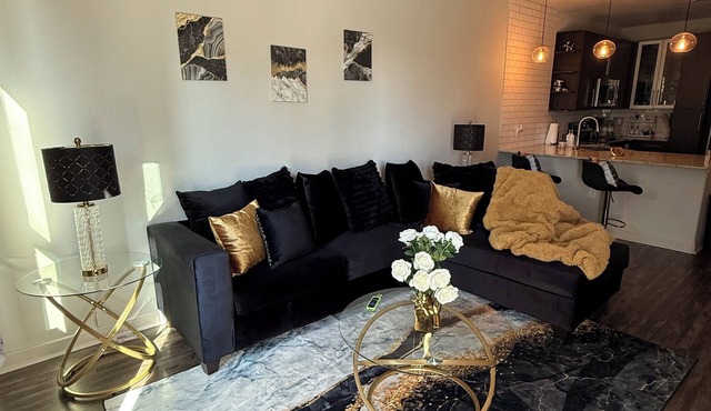 Luxury Stylish comfortable 1B apartment with city view located downtown Dallas!