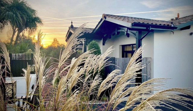 Luxury suite near Parc Ornithologique | Dune du Pilat
