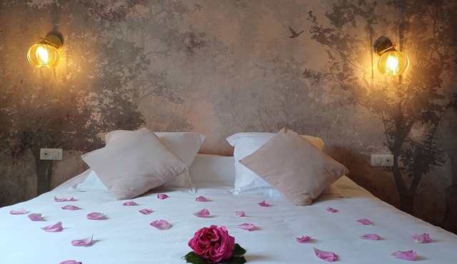 Luxury suite with private Spa and Sauna