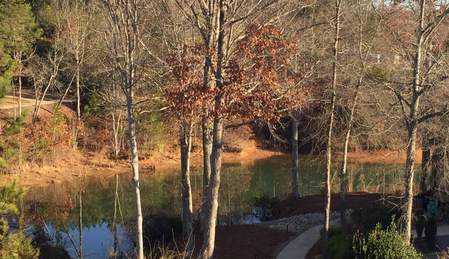 Luxury Townhome on Lake Keowee at Stoneledge.