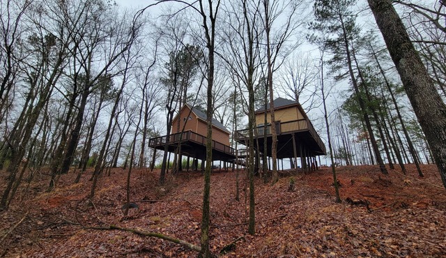 Luxury Treehouse Eagles Nest