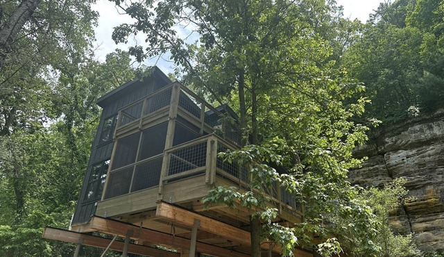 Luxury Treehouse Retreat with Stunning Decks & Creek Access Near Starved Rock State Park, Ottawa, IL