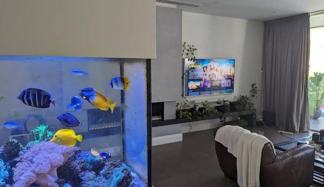 Luxury Tudor with Pool