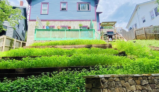 Luxury Urban Farm & Eco-Retreat ~ Hot Tub ~ Fire Pit ~ Walk Downtown ~