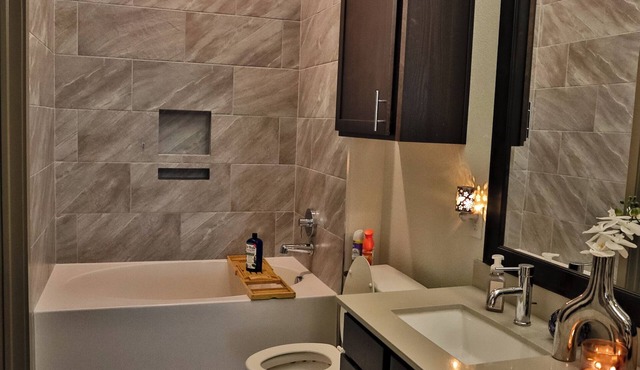 Luxury Urban Upscale 1-bedroom apt in Energy Corridor 15 minutes from Downtown.