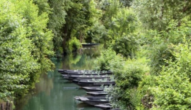 Luxury vacation rental in the heart of the Marais Poitevin - 2 bedrooms - 4 people