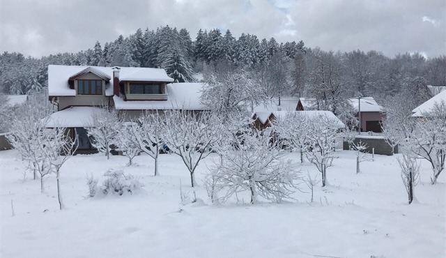 Luxury Villa Bobo & SPA