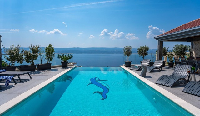 Luxury Villa POCRNJA with private heated pool, jacuzzi, sauna and pool table