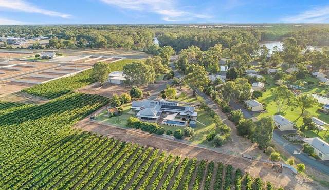 Luxury Vineyard Estate | Pool | 5 Bedrooms