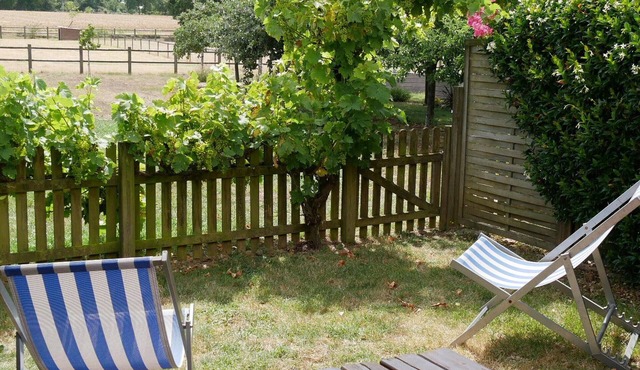 Luxury Vineyard Cottage with Modern Amenities Near Nantes