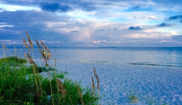 Luxury WATERFRONT condo overlooking pool, 5 mins to Dog Island, FREE boat slip.