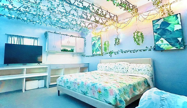 Luxury waterfront wonderland! Welcome to Dolphin Cove, proximity to NSB & beach.