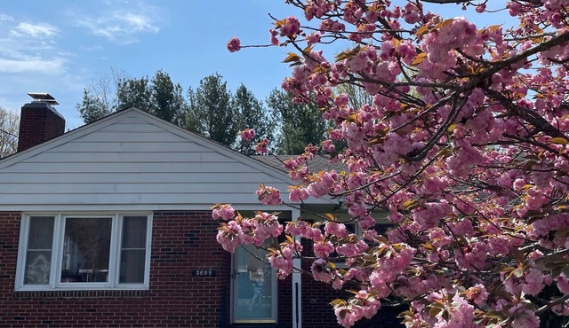 Lynchburg Family Living - close to Liberty University and dining options