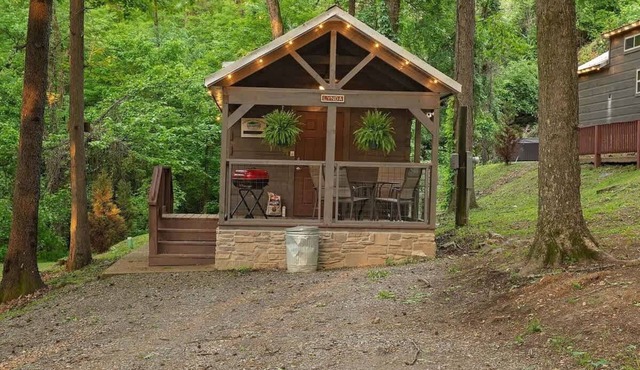 Lynda Nature Nested tiny cabin withhot tub