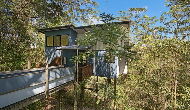 Lyola Pavilions in the Forest