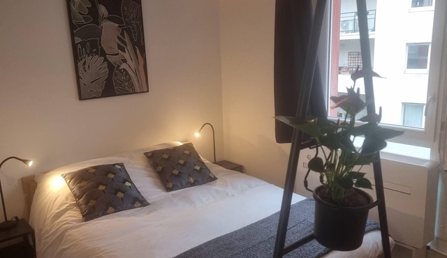 Lyon Monchat Villeurbanne Refurbished studio with air conditioning and parking