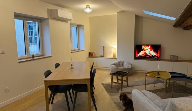 LYON PRESQU ILE musée des tissus - Air-conditioned APARTMENT ideal for visiting LYON