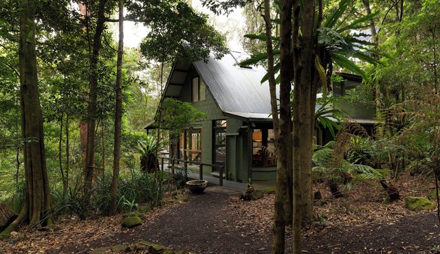 Lyrebird House, an off-grid escape nestled in Foxground's lush rainforest.