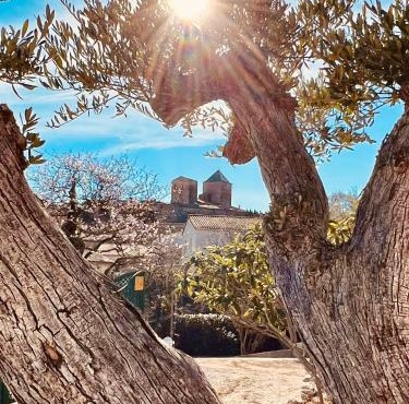 Mélisande au pays des orjouliers