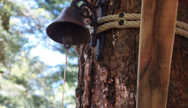 Méïzou des Puys tree house