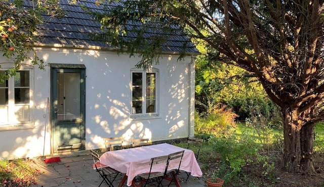 Møn, Denmark - Farmhouse in countryside, 1km from forest & beach