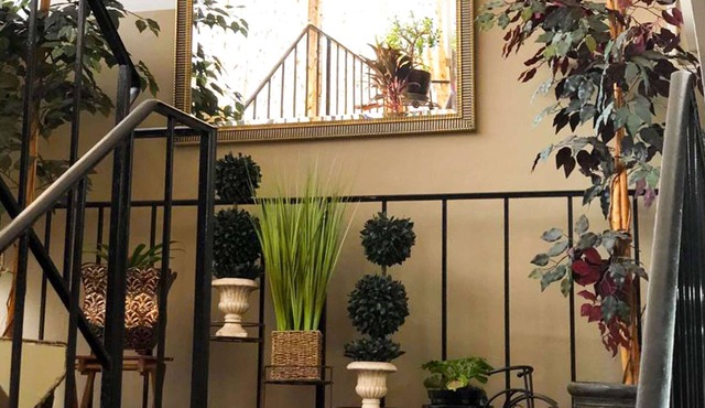 M Star Hotel Mansfield