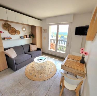 M2M Studio magnifique vue mer - avec balcon - les pieds dans l eau!