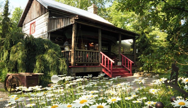 Ma & Pa's "Wild at Heart" Cabin Outdoor Bath Trail Firepit Parks & Wineries