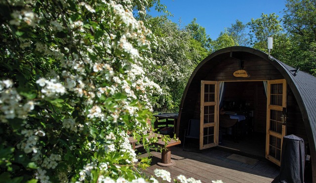 Macallan, Off-Grid Cabin in Woods: Macallan. Pet Friendly!