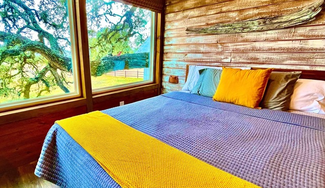 MACK: a Gorgeous Treehouse Studio for 4, overlooking the Texas Hill Country