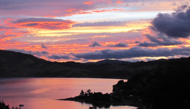 Macrocapa Heights farm