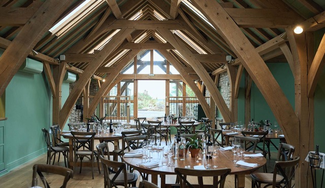 Mad Swans in The Mendips