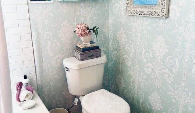 MadameX APT gorgeous 3BR/1 BA APT, Streetcar, French Quarter, Balcony!