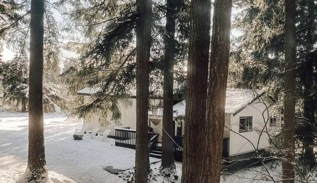 Made for Solo Travelers