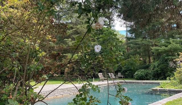 Madison Beach House, Private Pool, Walk to Beach & Town