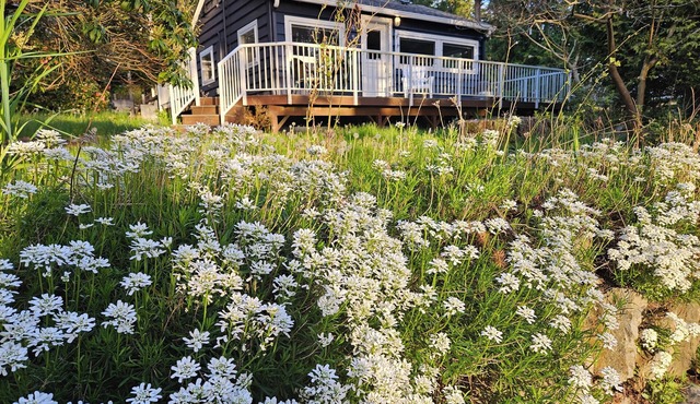 Madrona, Camano Island; Beautiful 2-bedroom cottage updated with you in mind.